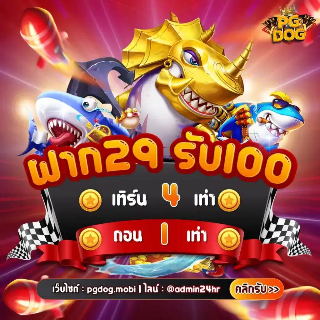 ผลบอลไลสด เดิมพันสดครบทุกลีก จบในเว็บเดียว