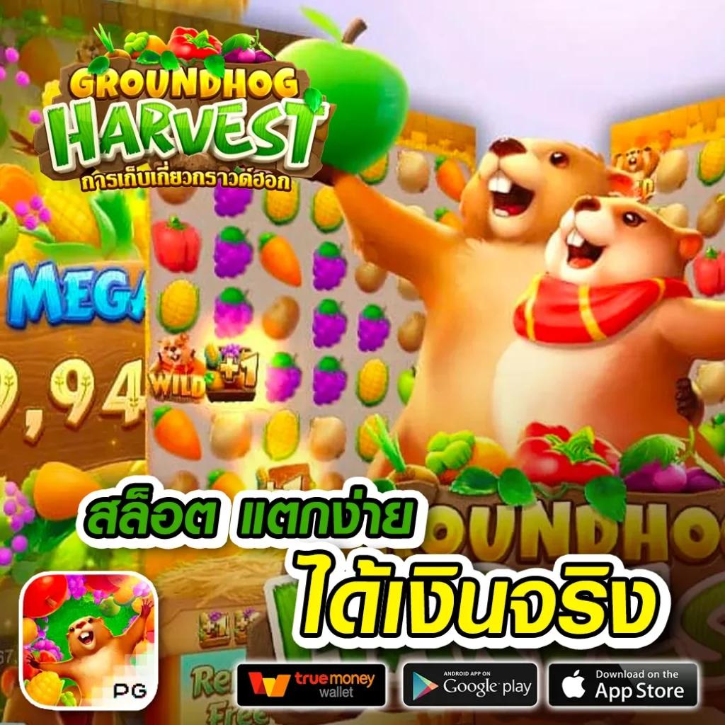 สนุกกับเกมคาสิโนสดที่ ผลบอลสดgo พร้อมโปรโมชั่นสุดคุ้ม