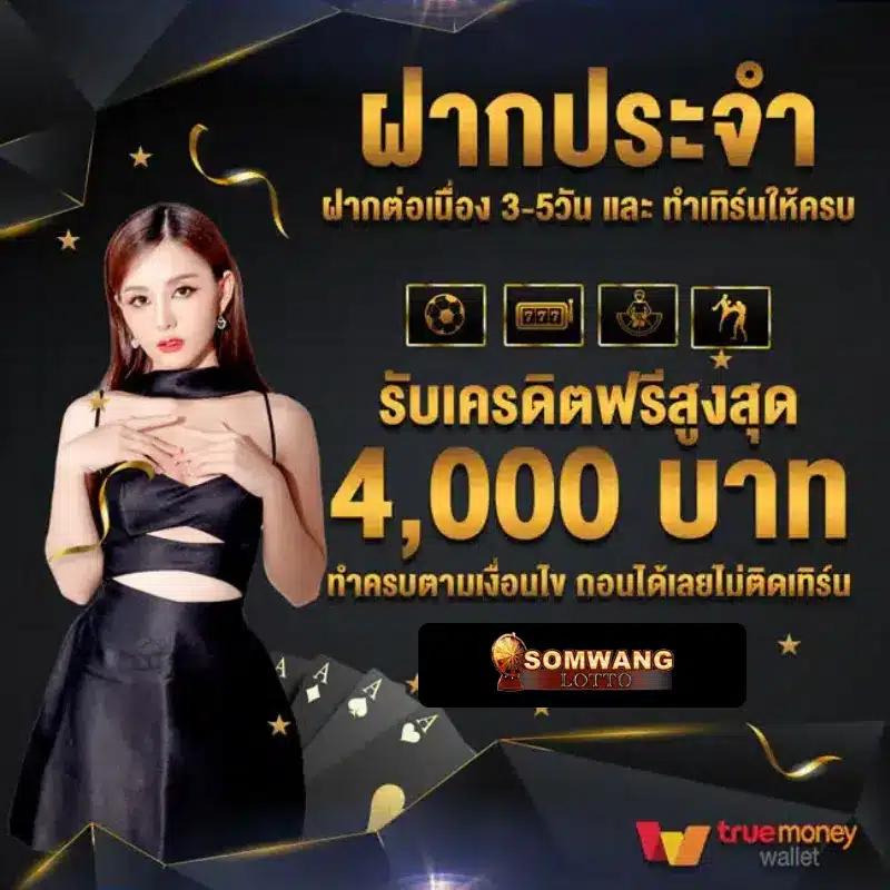 เข้าระบบ Cat999 เว็บพนันอันดับหนึ่ง ตื่นเต้นทุกการเดิมพัน